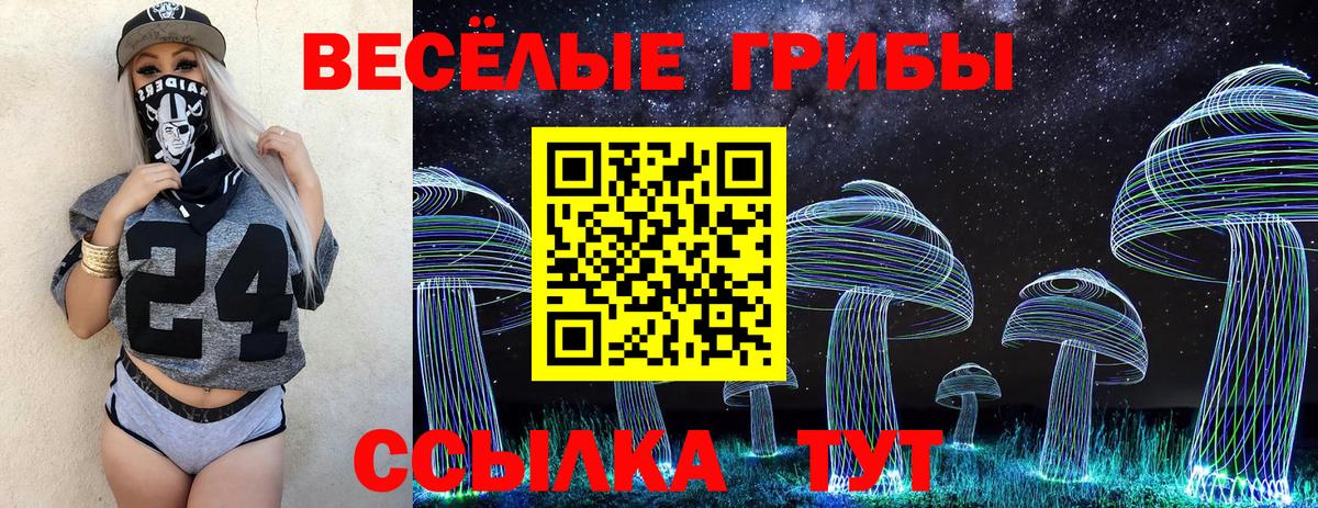 Галлюциногенные грибы Psilocybe  Вход с VPN  Новый Уренгой 